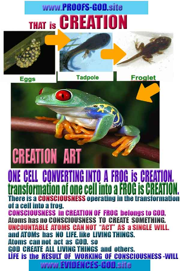 Proofs of God, Evidences of God, Proofs of Existance of God, Proofs of God is Real