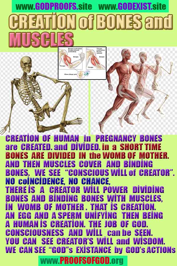 Proofs of God, Evidences of God, Proofs of Existance of God, Proofs of God is Real