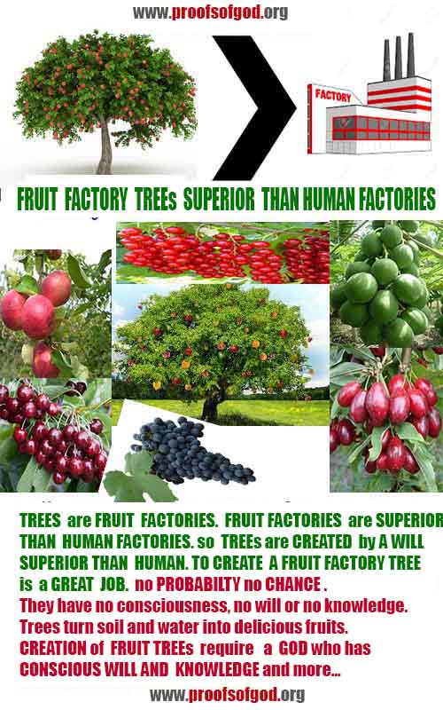 Proofs of God, Evidences of God, Proofs of Existance of God, Proofs of God is Real