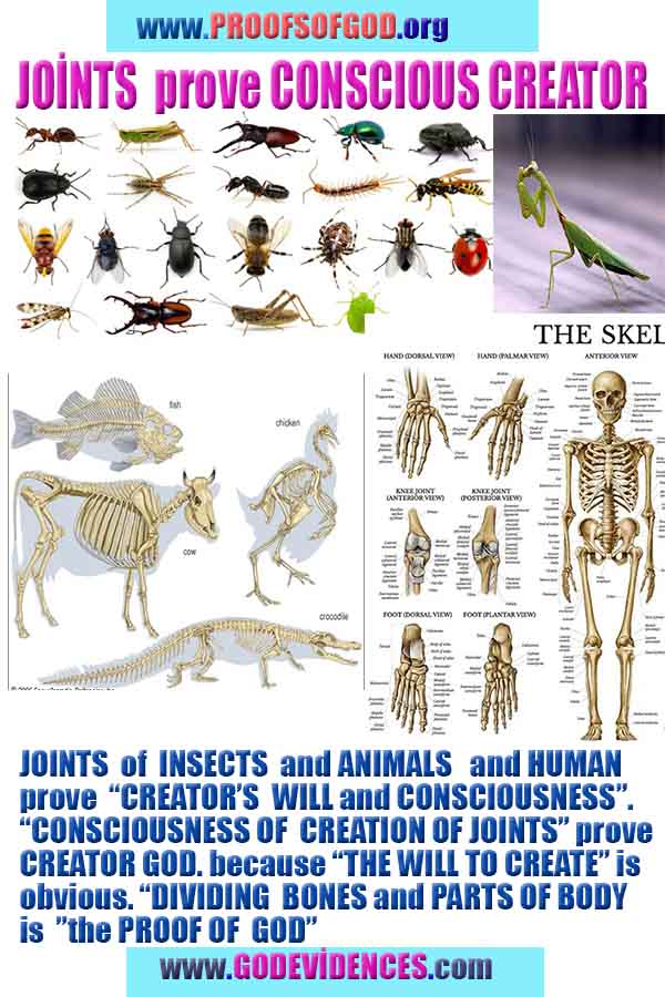 Proofs of God, Evidences of God, Proofs of Existance of God, Proofs of God is Real