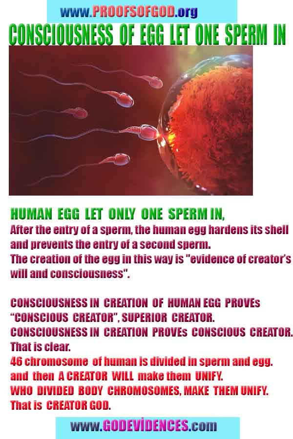 Proofs of God, Evidences of God, Proofs of Existance of God, Proofs of God is Real